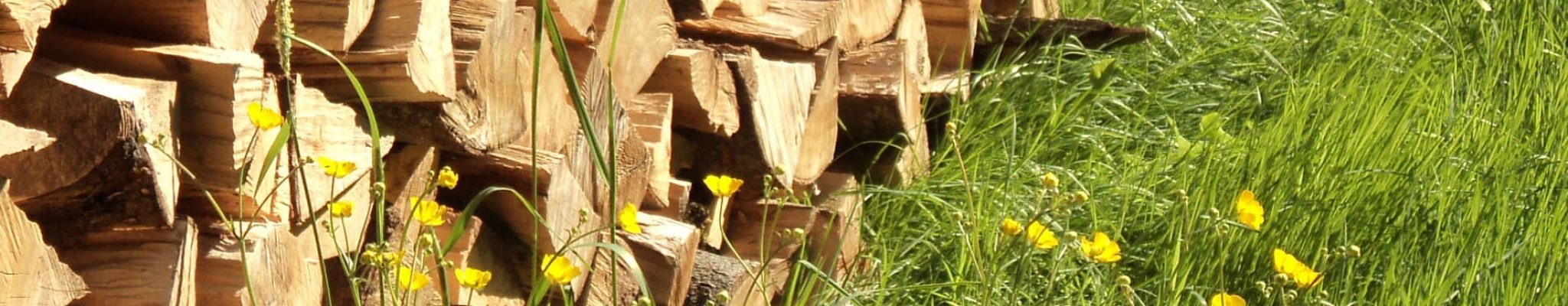Holzstapel in Blumenwiese